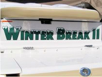 Winter Break II